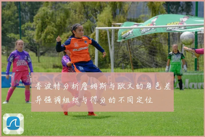 香波特分析詹姆斯与欧文的角色差异强调组织与得分的不同定位